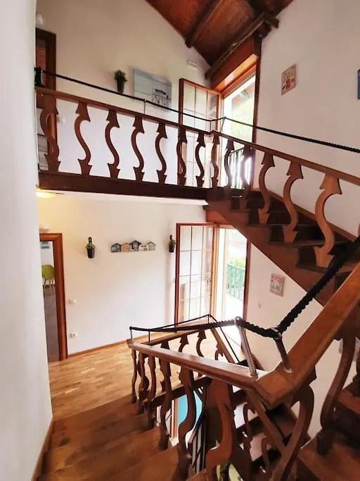 Villa D'Amare Riccione